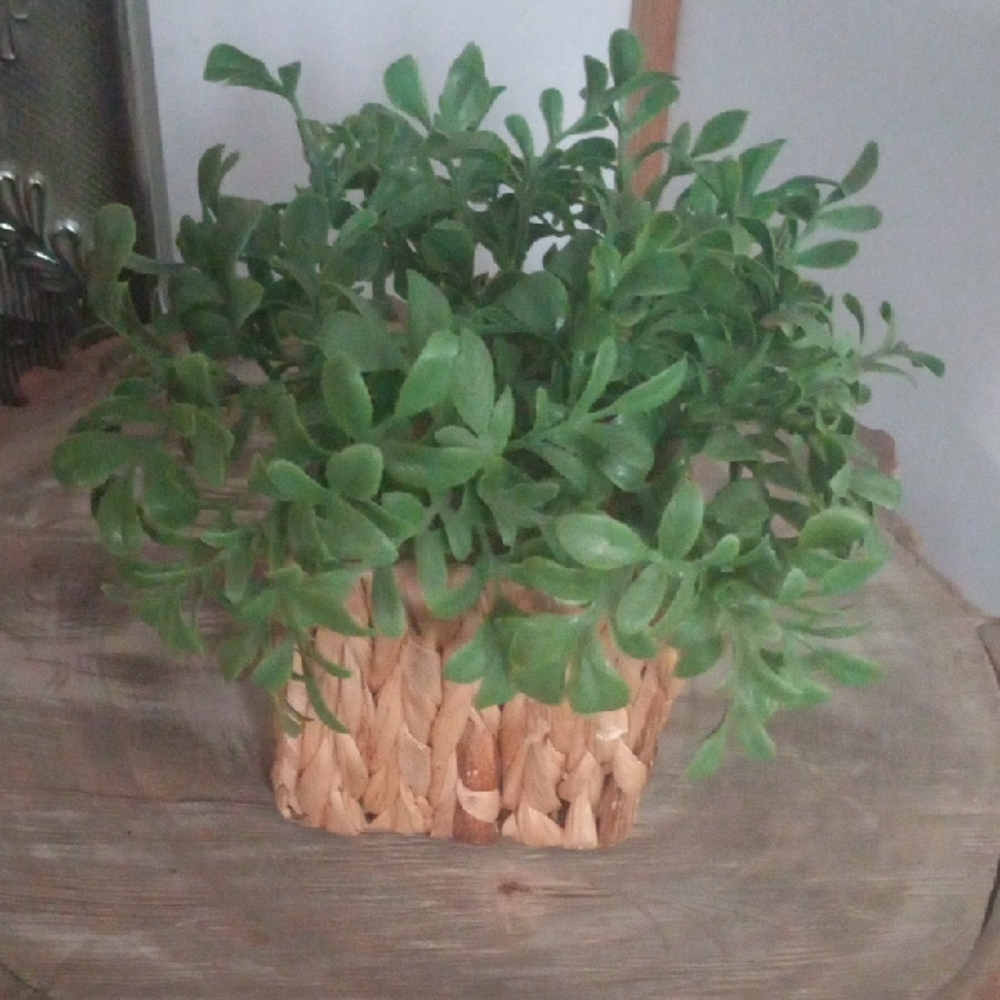 Green Faux Plant in Woven Basket